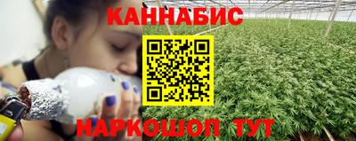 прущие грибы Пушкино
